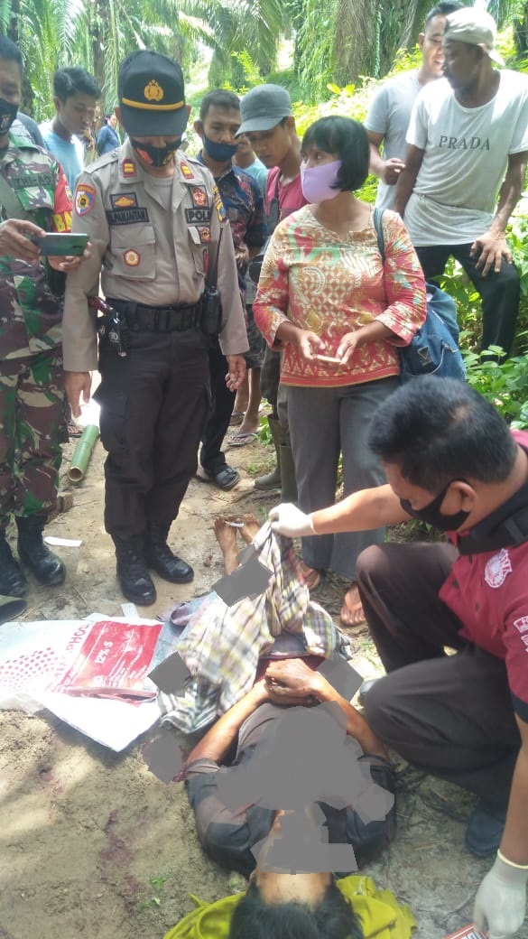 Nurmansyah Sipayung Tewas Tertusuk Egrek Saat Memanen Kelapa Sawit