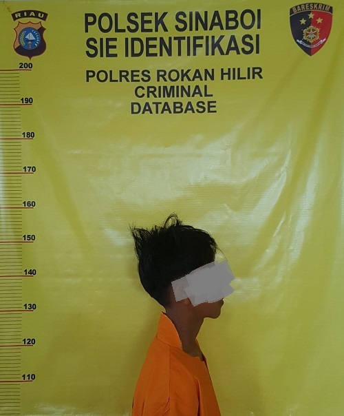 Tim Reskrim Polsek Sinaboi Polres Rokan Hilir Mengamankan Terduga Pelaku Terkait Tindak Pidana Pencurian