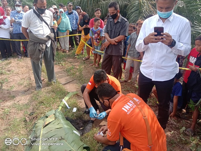 Hanyut di Bendungan Sei Ular, Siswi SMK Bintang Bayu Ditemukan 2KM dari Titik Jatuh
