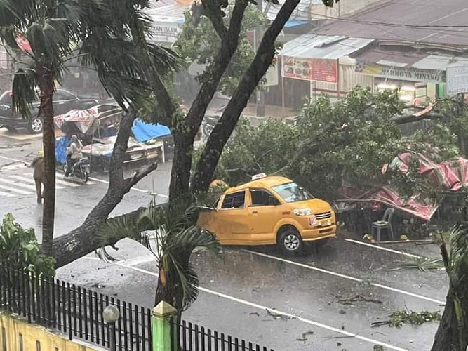 Pohon Tumbang di Wilayah RS. Adam Malik Medan, Menyebabkan Korban Jiwa