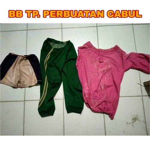 Saat Ditinggal Ortu, Anak Tetangga Diduga Dicabuli Oknum Tetangga Bejat