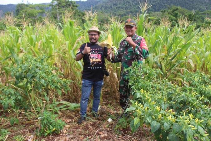 Apresiasi dari Komunitas Pertanian GCI untuk Kebun Satgas 131/BRS di Skouw