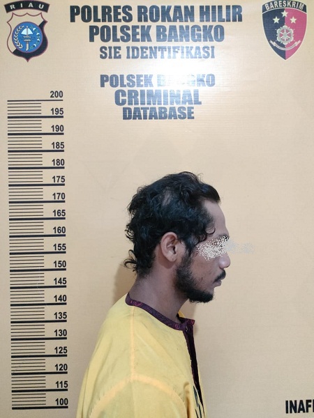Satreskrim Polsek Bangko Polres Rohil Berhasil Membekuk Pemuda ZI Dugaan Tindak Pidana Pencurian
