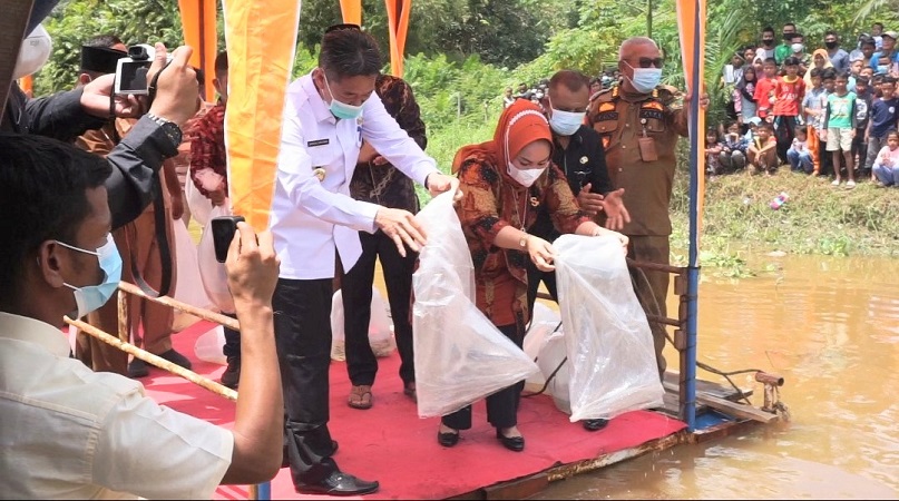 Jaga Kelestarian Ikan, Pemkab Rohil Tabur Ribuan Benih Anak Baung di Sungai Rokan