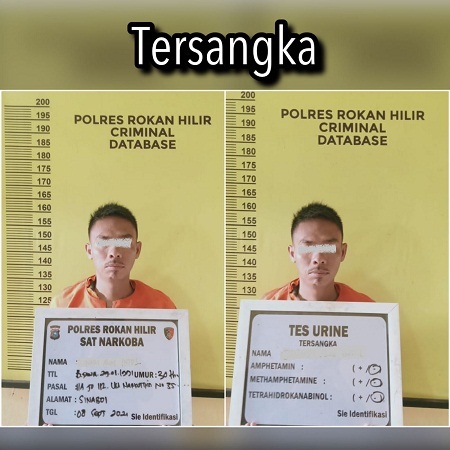 Sat Narkoba Polres Rohil Berhasil Tangkap Seorang Pria Dugaan Penyalahgunaan Sabu