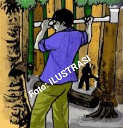 Kasihan, Diduga Gara-Gara Tertimpa Pohon, Pekerja PT Lonsum Treblasalak Meninggal Dunia