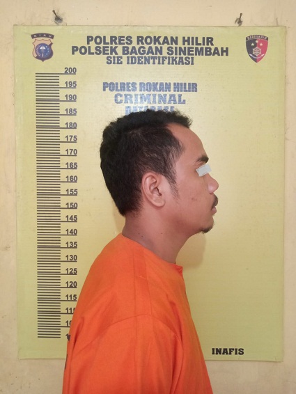 Tim Opsnal Sat Reskrim Polsek Bagan Sinembah Berhasil Bekuk SPS Diduga Lakukan Pemerkosaan