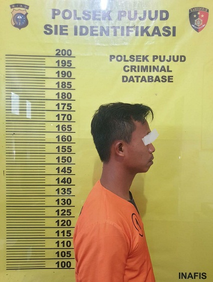 Tim Opsnal Satreskrim Polsek Pujud Ringkus Diduga Pelaku Pencabulan Anak