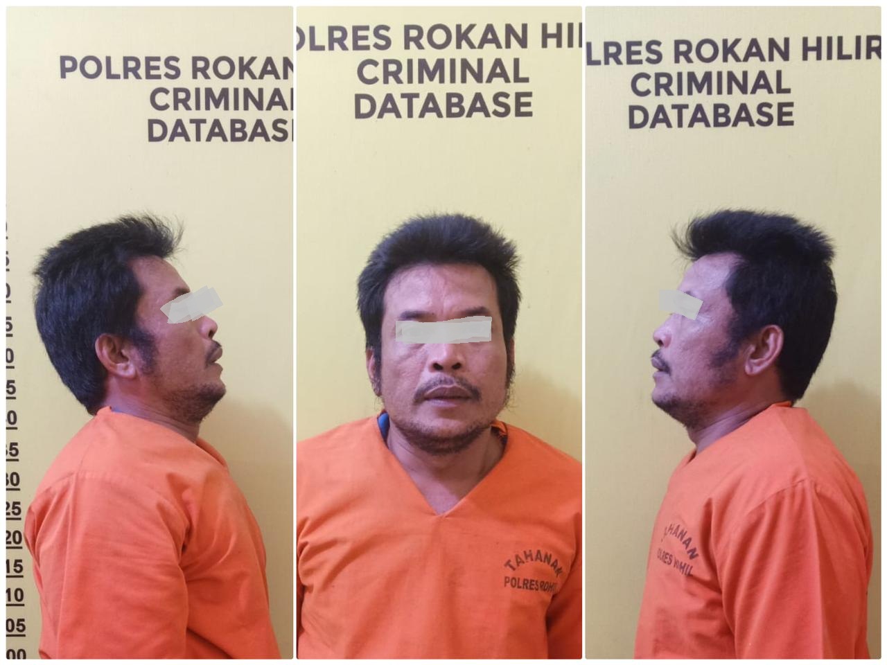 Seorang Pria Tewas Diduga Ditusuk Pisau oleh Sa di Rohil Riau