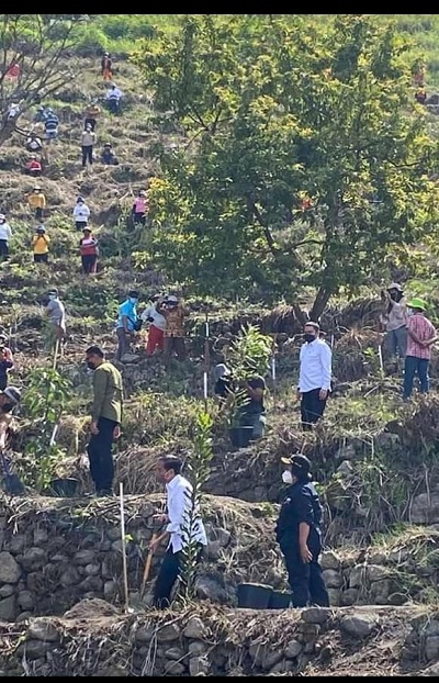 Kunjungi Danau Toba Presiden Jokowi Ajak Bupati Pakpak Bharat Menanam Pohon