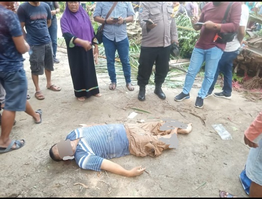 Seorang Meninggal dan Seorang Lagi Patah Kaki Tertimpa Pohon Sawit di Dusun II Desa Binjai Bakung