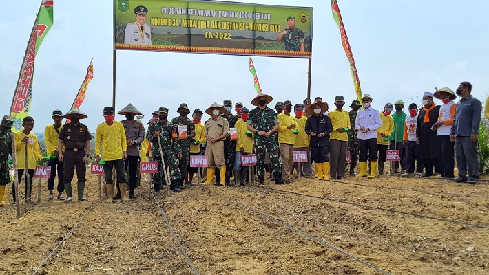 Penanaman Program Ketahanan Pangan Kodim 0321 Rohil Dihadiri oleh Wakil Bupati Rohil