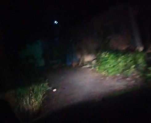 Rawan Maling, Warga Jalan Sejahtera Helvetia Timur Butuh LPJU, Ini Kata Dewan