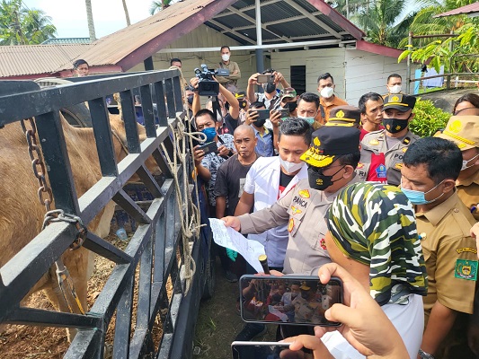 Kapolda Sumut Sidak Peternakan Sapi Mencegah Penyebaran PMK