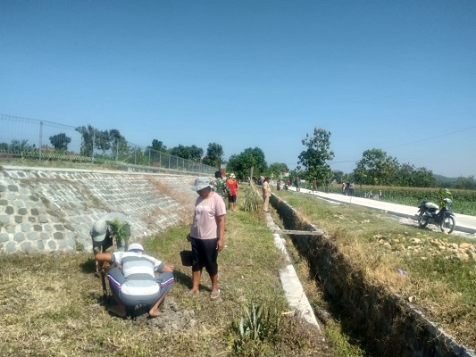 Anggota Satgas TMMD Melaksanakan Gerakan Penghijauan