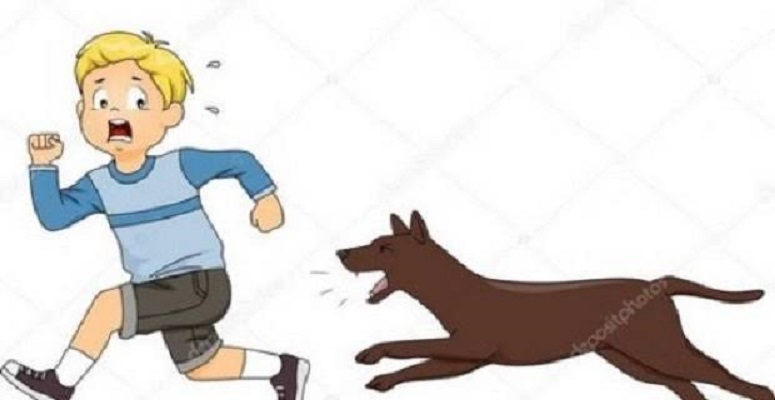 Warga Tanjung Selamat Resah dan Ketakutan, Anjing Galak Berkeliaran Mengancam Warga