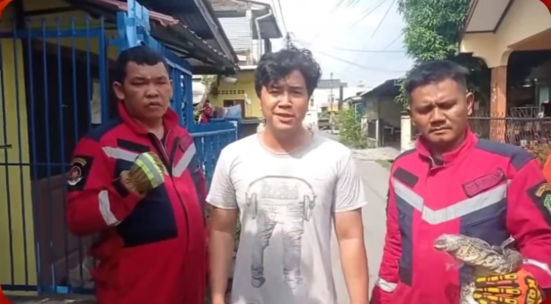 Petugas Dinas Damkarmat Kota Medan Berhasil Evakuasi Seekor Biawak yang Masuk ke Rumah Warga di Jalan Jamin Ginting Medan