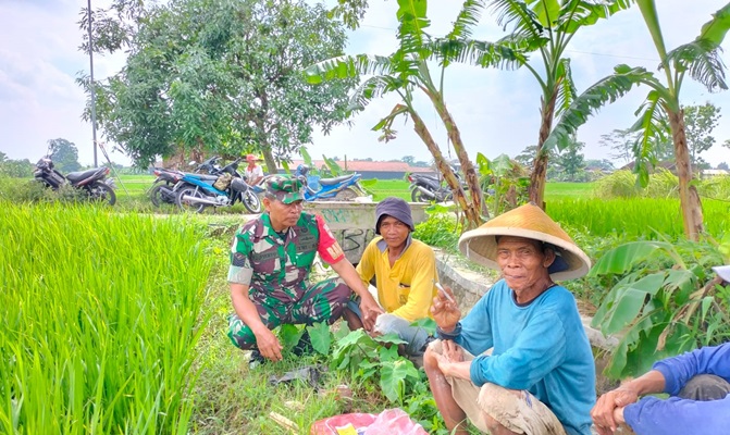 Komsos Babinsa Teras Bersama Petani Desa Kopen Terjalin Erat