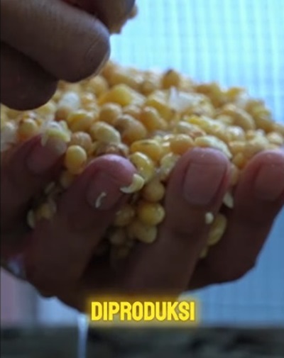 Membentuk Masa Depan dari Kedelai, Warga Binaan Rutan Kelas I Medan Mengikuti Pelatihan Pembuatan Tempe